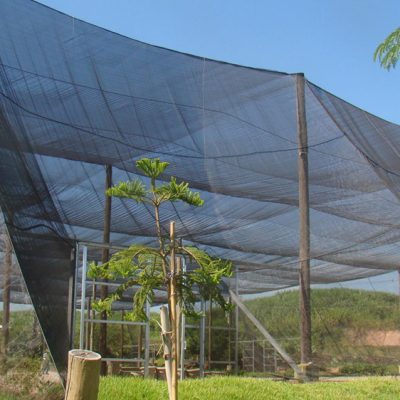aprenda como instalar sombrite e veja suas aplicações