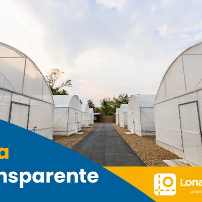 lona transparente